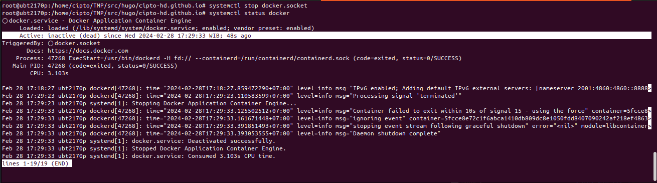 docker service status is inactive